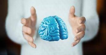 Imparare ad essere altruisti, così il cervello costruisce i comportamenti sociali