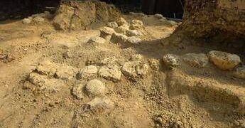 In Francia trovate oltre 100 uova di dinosauro, hanno 72 milioni di anni