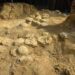 In Francia trovate oltre 100 uova di dinosauro, hanno 72 milioni di anni