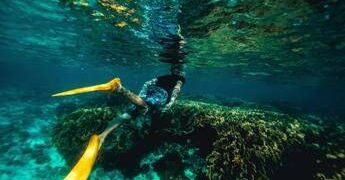 Italiani morti alle Maldive durante immersione, lo pneumologo: “Con concentrazioni elevate l’ossigeno diventa tossico”