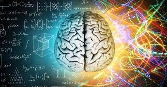 Milano, BrainSpace house per scoprire legame tra benessere di mente e cervello