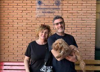 Primo impianto di pacemaker su un cane di piccola taglia