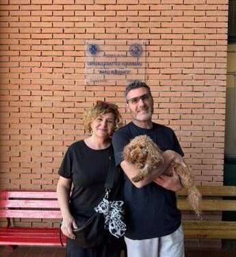 Primo impianto di pacemaker su un cane di piccola taglia
