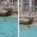 Roma, si tuffa nella fontana di Trevi e poi si vanta sui social. Multa da 450 euro per una turista