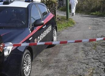 Roma, un uomo e un ragazzo trovati morti in stand allestito per palio Allumiere: avevano 36 e 15 anni