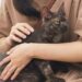 Asma nei bambini, uno studio assolve i gatti: “Nessun rischio da convivenza con i mici”