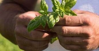 Barilla, nel Rapporto di Sostenibilità le ‘storie’ di un impegno a favore di ambiente e comunità