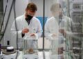 Cancro polmone, ok Ue a lurbinectedina più atezolizumab in prima linea