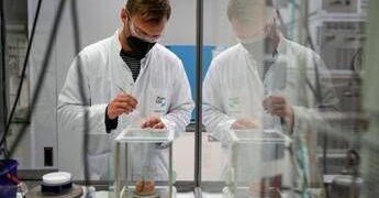 Cancro polmone, ok Ue a lurbinectedina più atezolizumab in prima linea