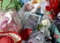 Domenico morto a Napoli, il consulente della famiglia: “Da vetrini confermate lesioni da ghiaccio secco”