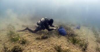 Findus rafforza l’impegno per la tutela del mare, lotta a plastiche e ripristino posidonia oceanica