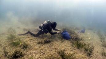 Findus rafforza l’impegno per la tutela del mare, lotta a plastiche e ripristino posidonia oceanica