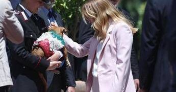 Italia-Corea, Meloni si fa foto con ‘Briciola’: cagnolina mascotte Carabinieri ‘star’ a Villa Pamphlij