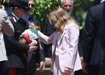 Italia-Corea, Meloni si fa foto con ‘Briciola’: cagnolina mascotte Carabinieri ‘star’ a Villa Pamphlij