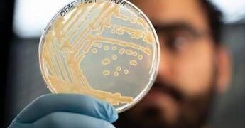 Mappato il microbioma di Ötzi l’uomo dei ghiacci. La scoperta: super lieviti resistenti al freddo, primo test il pane