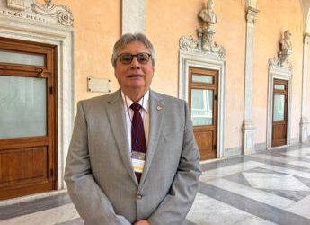 Micossi (Uip): “Paraguay terreno vantaggioso per l’industria italiana”