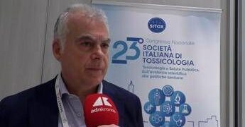 Morso di vipera, il tossicologo ‘bambini più vulnerabili a effetti veleno’