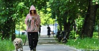Obbligo di lavare la pipì del cane in strada, Bassetti: “Dal punto di vista scientifico non serve a nulla”