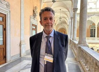 Paraguay, ambasciatore italiano: “Ottimo cliente per nostra industria manifatturiera”
