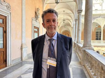 Paraguay, ambasciatore italiano: “Ottimo cliente per nostra industria manifatturiera”