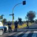 Roma, incendio nella pineta a ridosso di via del Lido di Castel Porziano