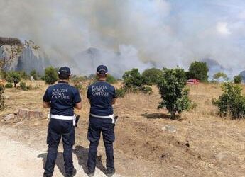 Roma, vasto incendio vicino via lido di Castel Porziano: vigili in azione