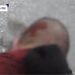 Caso Fakir, Tg1: fotogramma da bodycam poliziotto mostra ferita sulla nuca