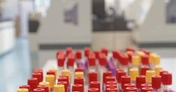 Cos’è il batterio mangiacarne sotto la lente a Messina, minaccia in crescita per il caldo record