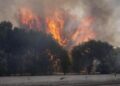 Francia e Spagna in ginocchio per gli incendi, Macron schiera l’esercito