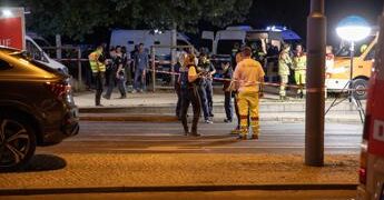 Germania, Valensise: “Immigrazione centrale in campagna elettorale, Afd sfrutterà paura”