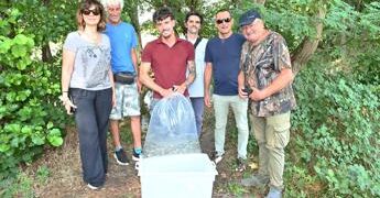 Gruppo Cap, 2.500 alborelle cresciute nel depuratore di Canegrate tornano nei fiumi lombardi
