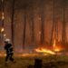 Incendi “mostruosi” in Francia e Spagna, oltre 325mila evacuati. In arrivo ondata di caldo ancora più intensa