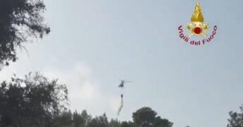 Incendi sul Gargano, fiamme domate. Sindaco di Peschici: “Turisti rientrati nelle strutture”