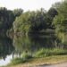 Milano, violentata mentre fa jogging al parco: si salva mordendo l’aggressore, arrestato 26enne
