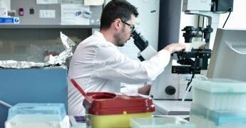 Ricerca, stretta Usa su studi ad alto rischio, stop fondi a test su virus potenziati