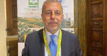 Tabacco, Nevi (FI): “Accordo Philip Morris e agricoltori modello da replicare”