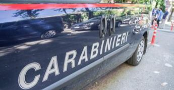 Treviso, bimba di 5 anni precipita dal quinto piano: è gravissima