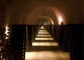 Vino: sempre più enoturisti nella Champagne, alla scoperta di Maison blasonate e vignerons