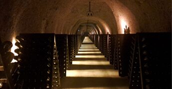 Vino: sempre più enoturisti nella Champagne, alla scoperta di Maison blasonate e vignerons