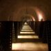 Vino: sempre più enoturisti nella Champagne, alla scoperta di Maison blasonate e vignerons