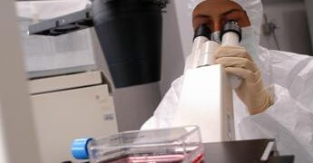 WorldPride, timori autorità sanitarie per la dermatofilosi, cos’è e come si trasmette