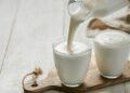 Alimenti, studio UniFi sui benefici dei lieviti del kefir