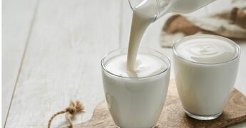 Alimenti, studio UniFi sui benefici dei lieviti del kefir