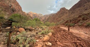 Alluvione lampo travolge il Grand Canyon: 1 morto e 15 escursionisti dispersi