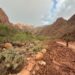 Alluvione lampo travolge il Grand Canyon: 1 morto e 15 escursionisti dispersi