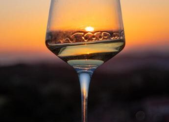 Calici di Stelle Val d’Orcia, alla scoperta del vino Orcia Doc, tra degustazioni e spettacoli