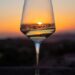 Calici di Stelle Val d’Orcia, alla scoperta del vino Orcia Doc, tra degustazioni e spettacoli