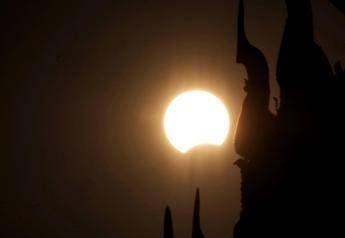 Eclissi, anche gli animali la vedranno: i consigli per non farli agitare