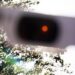 Eclissi di sole oggi 12 agosto, da Milano a Roma e Palermo: orario migliore per vederla città per città