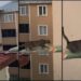 Gatto in pericolo su un tetto, il ‘salvataggio’ con… un’asse da stiro